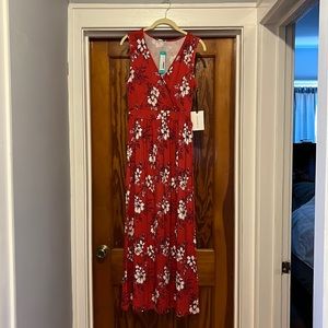 41 Hawthorn Adelina Knit Maxi Dress